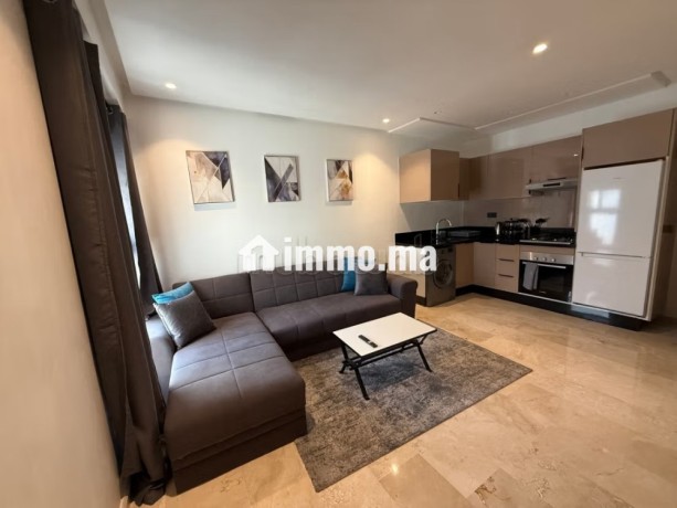 appartement-meuble-a-france-ville-big-4