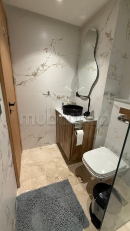 appartement-meuble-a-france-ville-big-5