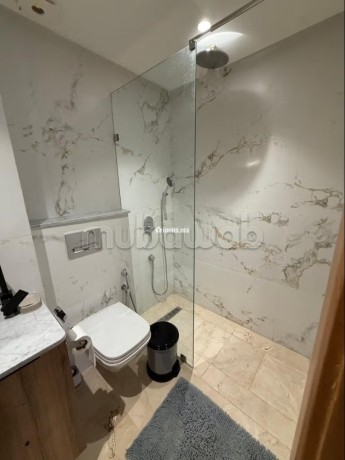 appartement-meuble-a-france-ville-big-6