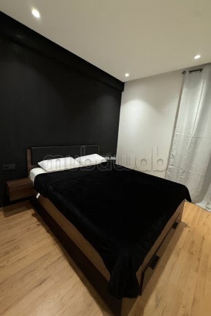 appartement-meuble-a-france-ville-big-7