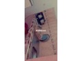 shk-mghz-llkraaa-small-2