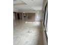 grand-appartement-240-m2-sans-vis-a-vis-small-8