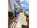 racine-bel-appartement-meuble-200m2-avec-grande-terrasse-a-louer-small-11