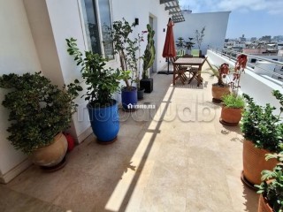 Racine – bel appartement meublé 200m2 avec grande terrasse à louer - Appartement à louer - Casablanca