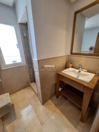 racine-bel-appartement-meuble-200m2-avec-grande-terrasse-a-louer-big-9