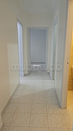 appartement-a-louer-big-5
