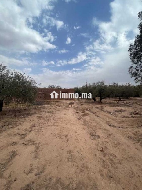 Terrain a vendre - Vente Immobilier - Marrakech - photo 2