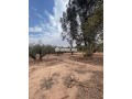 terrain-a-vendre-small-0