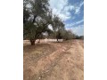 terrain-a-vendre-small-3