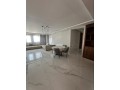 appartement-de-vacances-luxueux-small-1