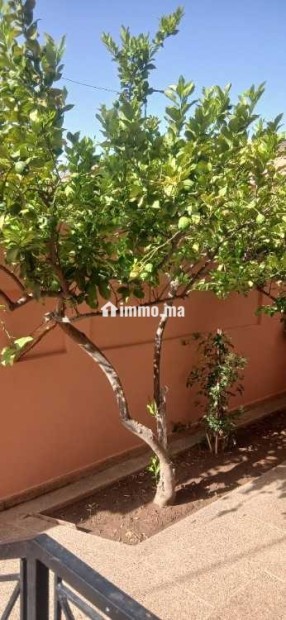 Etage de villa renové - Location Immobilier - Marrakech - photo 1