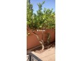 etage-de-villa-renove-small-0
