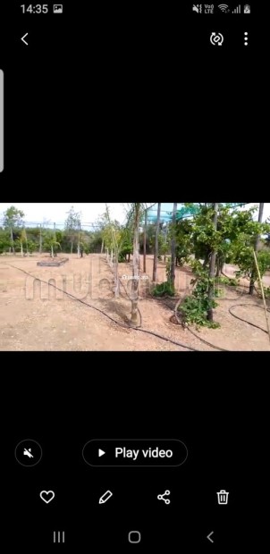 Terrain agricole avec titre à Tachrafet Oued Zem - Vente Immobilier - Oued Zem - photo 3