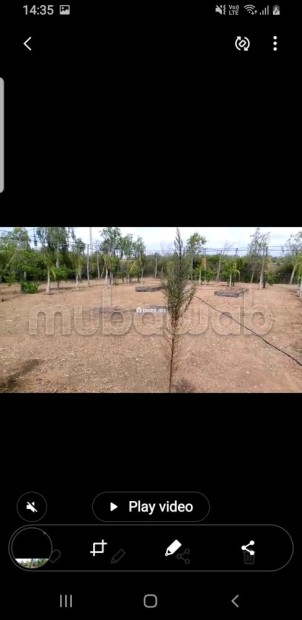 Terrain agricole avec titre à Tachrafet Oued Zem - Vente Immobilier - Oued Zem - photo 4