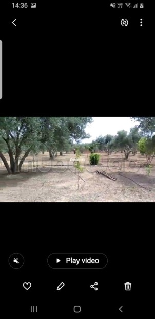 Terrain agricole avec titre à Tachrafet Oued Zem - Vente Immobilier - Oued Zem - photo 6