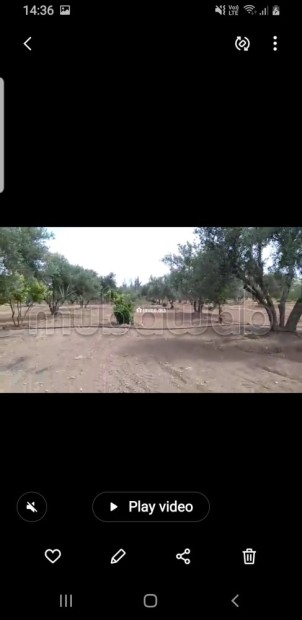 Terrain agricole avec titre à Tachrafet Oued Zem - Vente Immobilier - Oued Zem - photo 7