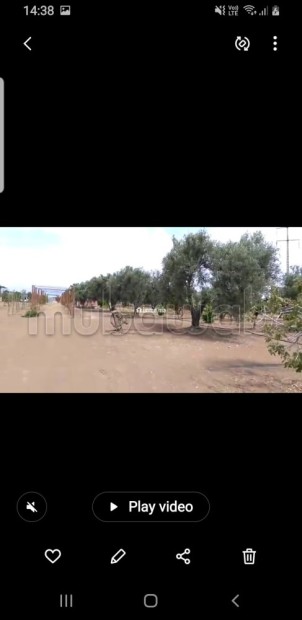 Terrain agricole avec titre à Tachrafet Oued Zem - Vente Immobilier - Oued Zem - photo 8
