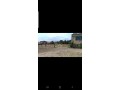 terrain-agricole-avec-titre-a-tachrafet-oued-zem-small-0
