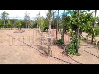 Terrain agricole avec titre à Tachrafet Oued Zem - Terrain à vendre - Oued Zem