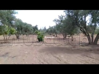 Terrain agricole avec titre à Tachrafet Oued Zem - Terrain à vendre - Oued Zem