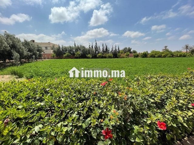 Belle ferme de 5000m² avec maison à 40km d'Agadir - Location Immobilier - Agadir - photo 5