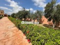 belle-ferme-de-5000m2-avec-maison-a-40km-dagadir-small-2