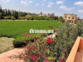 belle-ferme-de-5000m2-avec-maison-a-40km-dagadir-small-5