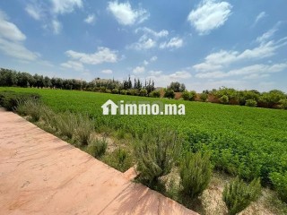 Belle ferme de 5000m² avec maison à 40km d'Agadir - Terrain à louer - Agadir
