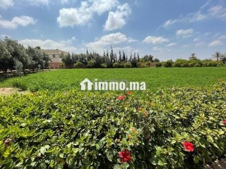 Belle ferme de 5000m² avec maison à 40km d'Agadir - Terrain à louer - Agadir