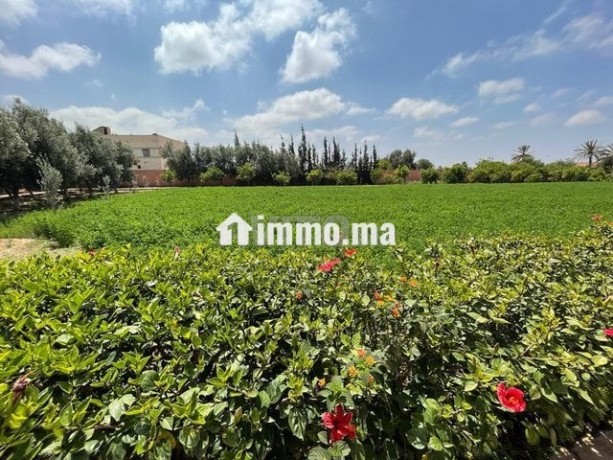 belle-ferme-de-5000m2-avec-maison-a-40km-dagadir-big-4