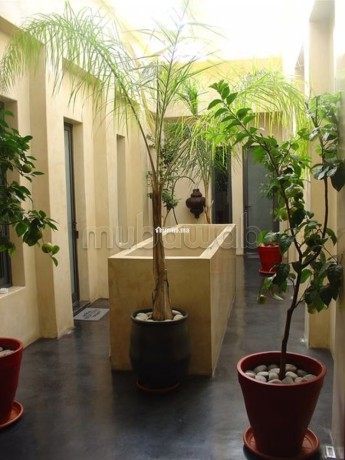 a-vendre-a-el-jadida-maison-dhotes-equipee-big-8
