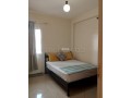 appartement-lumineux-small-3