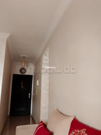 appartement-lumineux-big-6