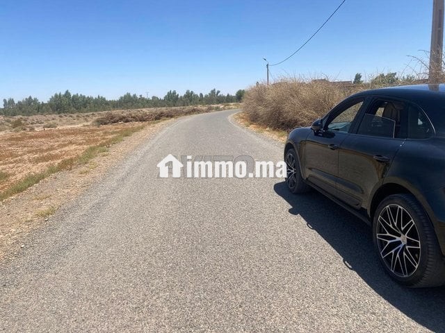 ارض للبيع مع بئر واشجار زيتون - Vente Immobilier - Marrakech - photo 4