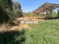 ard-llbyaa-maa-byr-oashgar-zyton-small-0