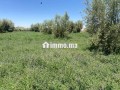 ard-llbyaa-maa-byr-oashgar-zyton-small-1