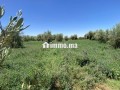 ard-llbyaa-maa-byr-oashgar-zyton-small-6