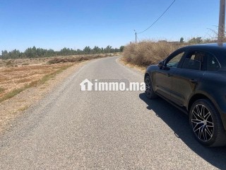 ارض للبيع مع بئر واشجار زيتون - Terrain à vendre - Marrakech