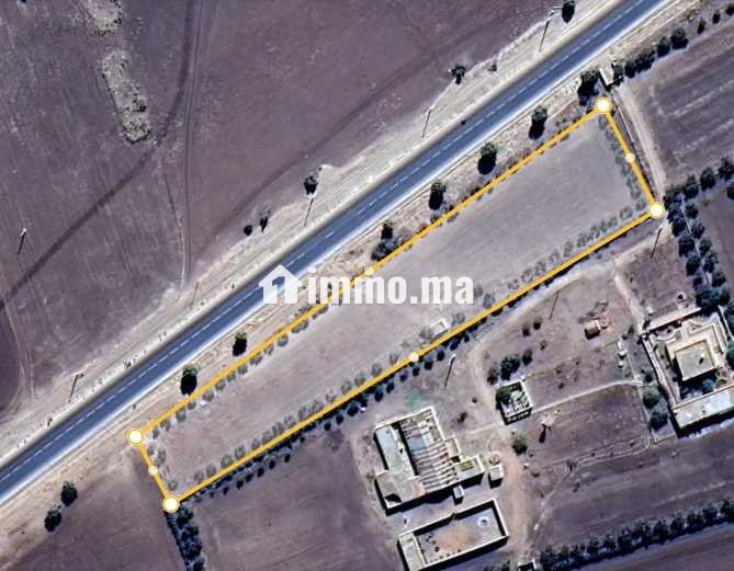 Terrain Douar Oulad Qassam près de Khmissat Settat - Vente Immobilier - Settat - photo 1