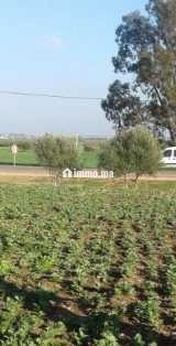 Terrain Douar Oulad Qassam près de Khmissat Settat - Vente Immobilier - Settat - photo 3