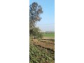 terrain-douar-oulad-qassam-pres-de-khmissat-settat-small-3