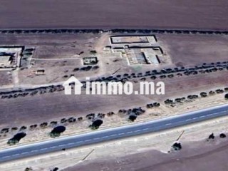 Terrain Douar Oulad Qassam près de Khmissat Settat - Terrain à vendre - Settat