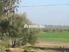 Terrain Douar Oulad Qassam près de Khmissat Settat - Terrain à vendre - Settat