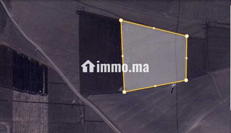 Terrain agricole Khmissat Chawia 1 hectare - Vente Immobilier - Settat - photo 1