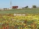 Terrain agricole Khmissat Chawia 1 hectare - Terrain à vendre - Settat
