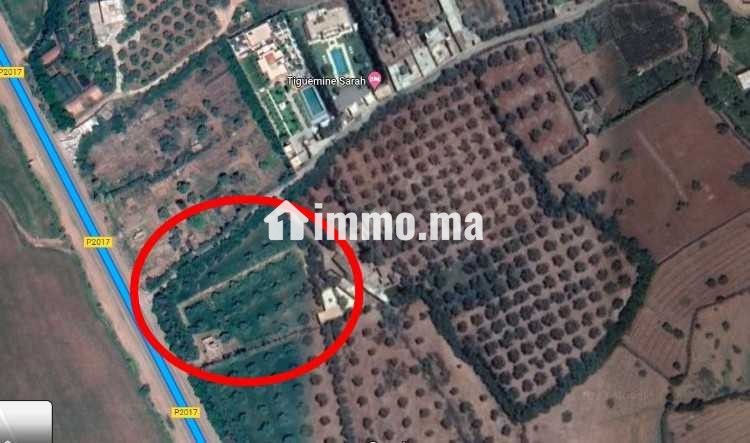 FERME SUR LA ROUTE DE L'OURIKA - Vente Immobilier - Marrakech - photo 2