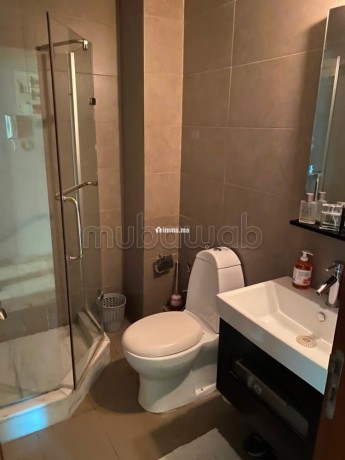 appartement-de-standing-traversant-et-lumineux-big-12