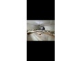 appartement-centre-ville-small-3