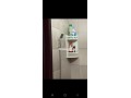 appartement-meuble-pour-familles-a-hay-salam-small-1