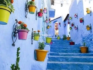 location-saisonniere-a-chefchaouen-surface-de-80-m2-places-de-parking-et-terrasse